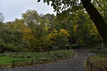 La végétation luxuriante en automne avec parfois des feuilles dorées aux arbres au parc Josaphat à Schaerbeek