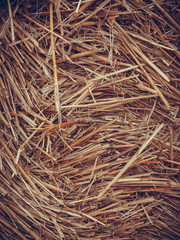 Detailed closeup of scattered hay
