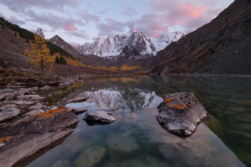 A tranquil colorful sunset over a smooth surface of a mountain lake, which reflects in clear water snow capes. A single larch tree grows on the shore next to stones with lichen, Siberia, Altai, Shavla