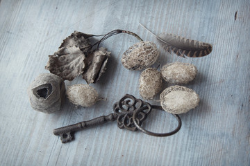 vintage key skull and leafs on the wood