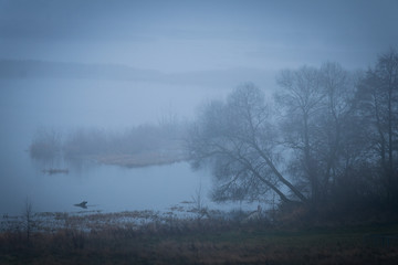 Fototapeta premium autumn floodwaters with misty trees and bushes on a cloudy sad day