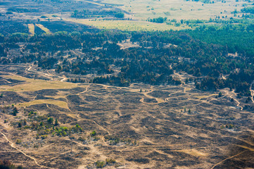 Scorched trees and grass after the fire. Aerial view