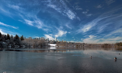 Naklejka premium Winter landscape on the Deer Lake, snow-covered trees and shrubs on the lake shore against a beautiful blue sky with white clouds and of Burnaby City.