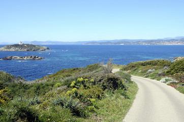 Fototapeta na wymiar Embiez island landscape, France