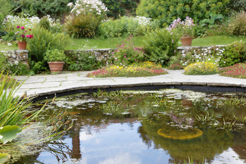 Fototapeta na wymiar Pond with flowers and plants