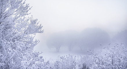 Obraz na płótnie Canvas Winter beautiful landscape with heavy frost and fog. 