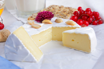 Cheese on white background, camembert, a glass of milk, Christmas cheese with honey, white background, blue napkin, pop art, red berries, Mexican cuisine, Indian cuisine, French breakfast