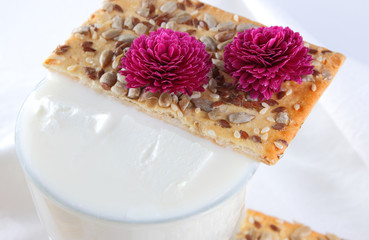 Cheese on white background, camembert, a glass of milk, Christmas cheese with honey, white background, blue napkin, pop art, red berries, Mexican cuisine, Indian cuisine, French breakfast