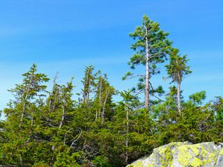 Beautiful mountain landscape. Gorgany, Carpathians, Ukraine.