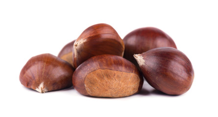 Fresh chestnuts isolated on white background. Hippocastanum isolated. Chestnut with clipping path