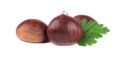 Fresh chestnuts with leaf of parsley isolated on white background. Hippocastanum isolated. Isolated chestnut set with clipping path. Macro