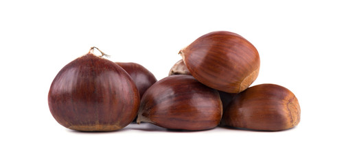 Fresh chestnuts isolated on white background. Hippocastanum isolated. Chestnut with clipping path