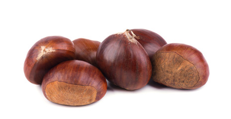 Fresh chestnuts isolated on white background. Hippocastanum isolated. Chestnut with clipping path