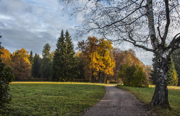 The landscape Park in Pavlovsk. The cold dawn.