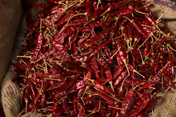 dried red chilie pepper in bunch
