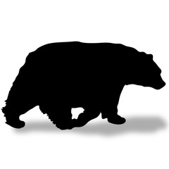 Fototapeta premium black bear silhouette with shadow