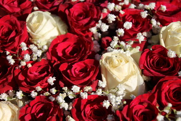 red and white bouquet of roses