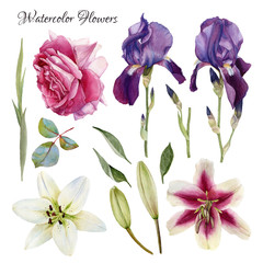 Flowers set of hand drawn watercolor lilies, iris, rose and leaves
