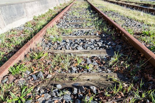 rusty rails with wooden sleepers and encroaching vegetation