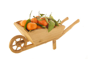 Tangerines iin wheelbarrow solated over white background