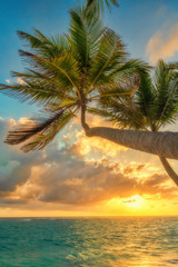 Sunrise in Punta Cana.