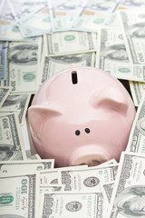 piggy bank and dollar cash money. business, finance, investment, saving and corruption concept