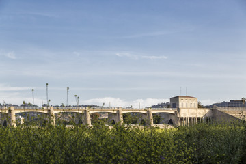 Naklejka premium The Spring Fields