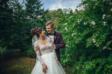 Fototapeta premium Beautiful couple of happy stylish newlyweds on a walk in the sunny summer park or garden on their wedding day