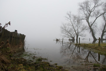 bezlistne drzewa stojąca na brzegu zamglonej jesiennej rzeki w pochmurny smutny dzień