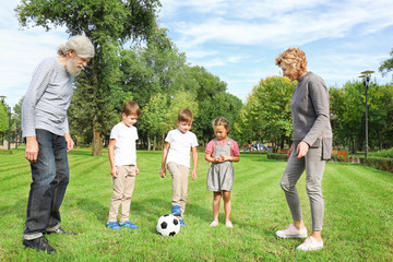 Cute children with grandparents in park on sunny day