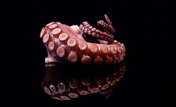 Octopusarm