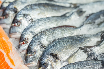 Fresh raw dorado fish and red salmon fillet laying on ice at food market or supermarket . food store