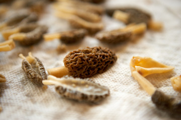 Clean, cut morels in close up