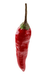 one vertical hot red chili pepper isolated on white background
