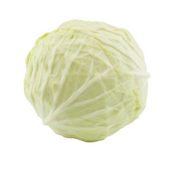 Fototapeta premium cabbage on white background