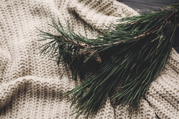 green fir branches on cozy warm knitted sweater, space for text. rustic christmas tree and woolen clothes. hygge winter image
