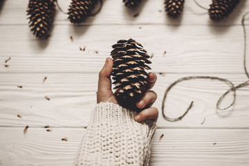 hand holding big pine cone. christmas rustic decor concept. woman in knitted sweater holding cone on white wooden rustic background. xmas decorations