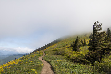 Path to Dog Mountain Summit