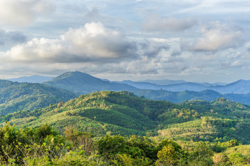 Fototapeta na wymiar View of the hills and forests of Phuket, Thailand