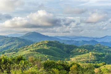 Foto op Plexiglas Heuvel View of the hills and forests of Phuket, Thailand