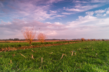 Rural landscape at sunset