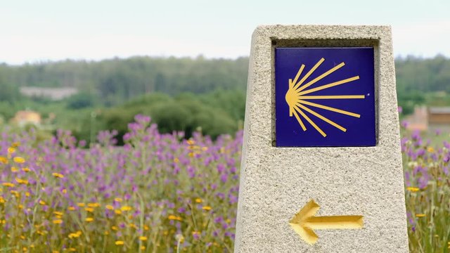 The typical sign showing the pilgrims the way to Santiago de Compostela on the Camino Frances in Spain. The arrow and the shell are in front of a meadow with flowers.