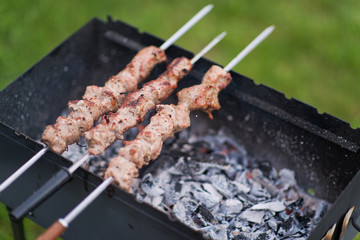 kebabs for barbecue summer time on the nature