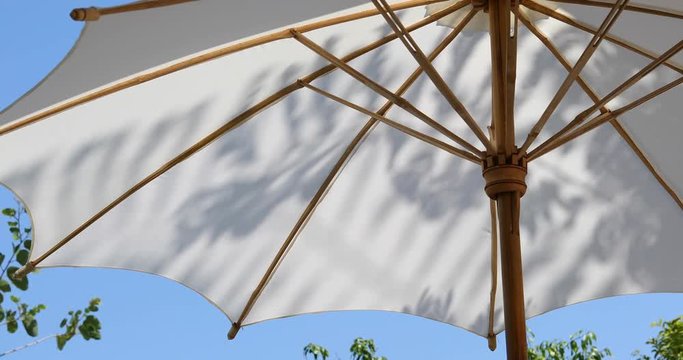 white parasol outdoor umbrella with shadow of tree in garden