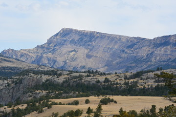 Fototapeta premium Range land Yellowstone