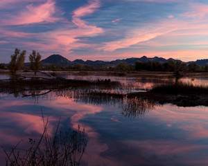 Obraz premium Zachód słońca w Gray Lodge Wildlife Area, Pennington, Kalifornia, USA, z różowymi kolorami i odbiciami w wodzie oraz Sutter Buttes w tle