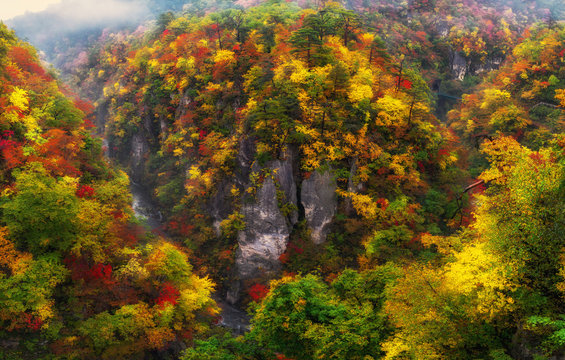 Panorama Landscape scene of Amazing Naruko Gorge in multicolor Autumn season when raining in Japan, travel and landscape concept