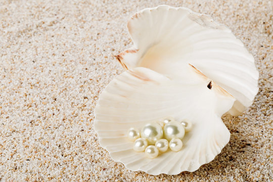 Multiple pearls in sea shell on sand