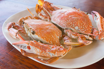 渡り蟹の蒸し焼き（カニ/crab）