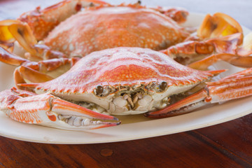 渡り蟹の蒸し焼き（カニ/crab）
